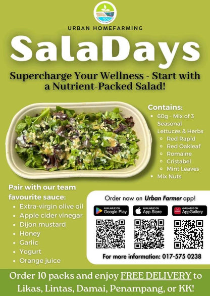 SalaDays Organic Box 🥗 (for corporate lunches & party 🎉)