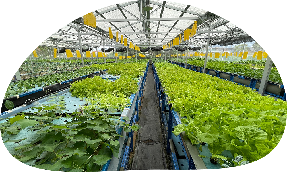 Empowering Sustainable Farming. Supporting Local. Fueling Your Health