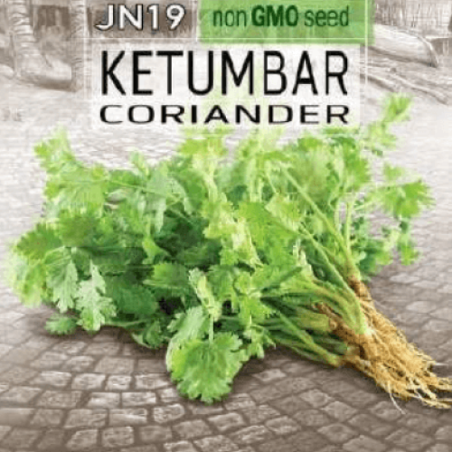 Coriander (Ketumbar) Seed