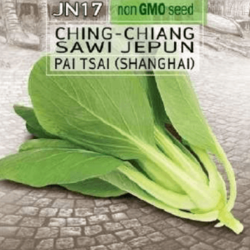 Pai Tsai Shanghai (Ching-Chiang Sawi Jepun) Seed