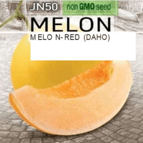 Melon Red Daho (Melon) Seed