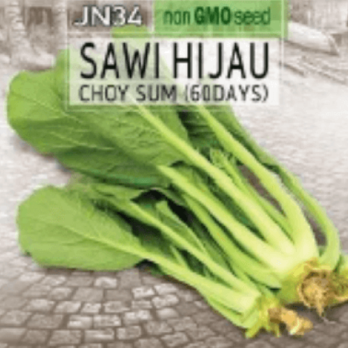 Choy Sum 60 Days (Sawi Hijau) Seed