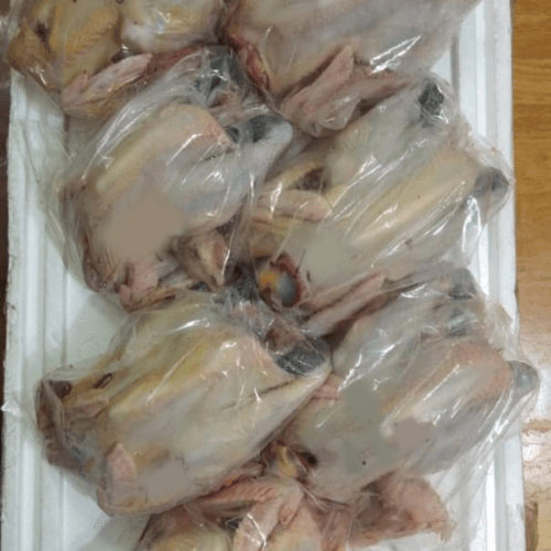 TW Hua Luo Chicken