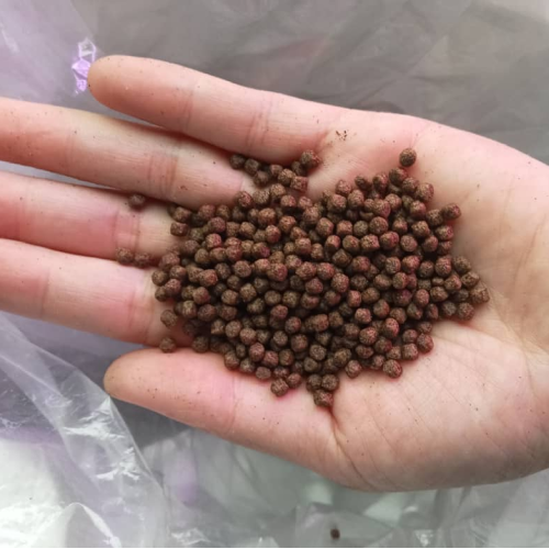Fish Feed