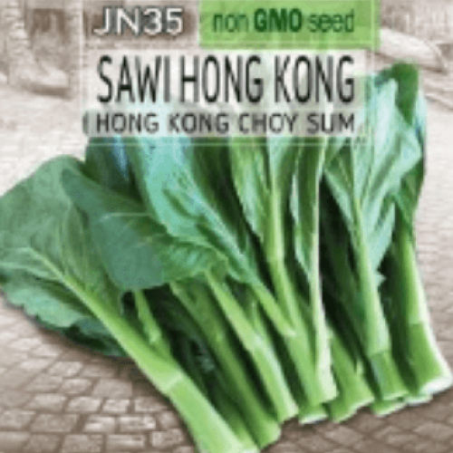 Hong Kong Choy Sum (Sawi Hong Kong) Seed