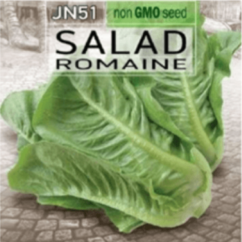 Romaine (Salad) Seed