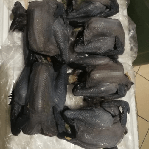 TW Black Chicken (1-1.3KG)