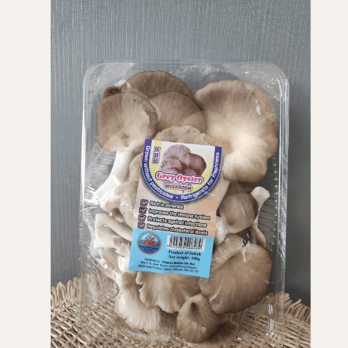 Fresh Oyster Mushroom