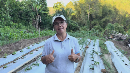 Fresh Farmer Box (Subscription Pledge) - coming Mid Dec!